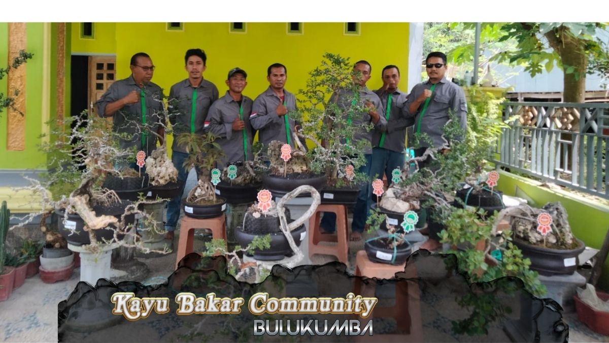 Kayu Bakar Community Bulukumba - Bonsai Sidrap 2022