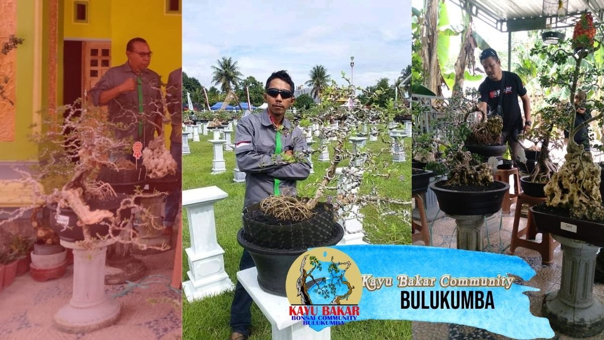 Kayu Bakar Community BulukumbaGabung