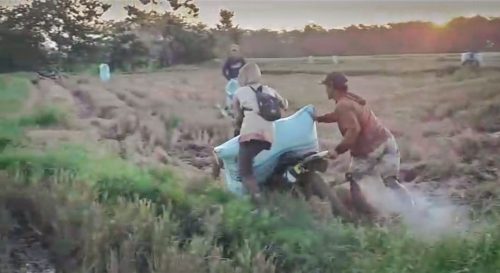 Berkat Mandiri Benih Produk Padi Petani Desa Ujung Tanah di Wajo Meningkat