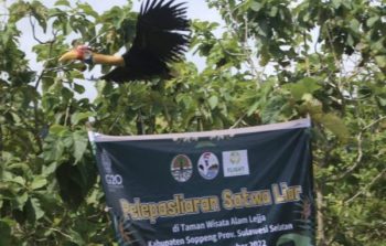 16 Satwa Liar Dilepas, Kadis Pariwisata Soppeng Berharap Bisa Berkembang Biak