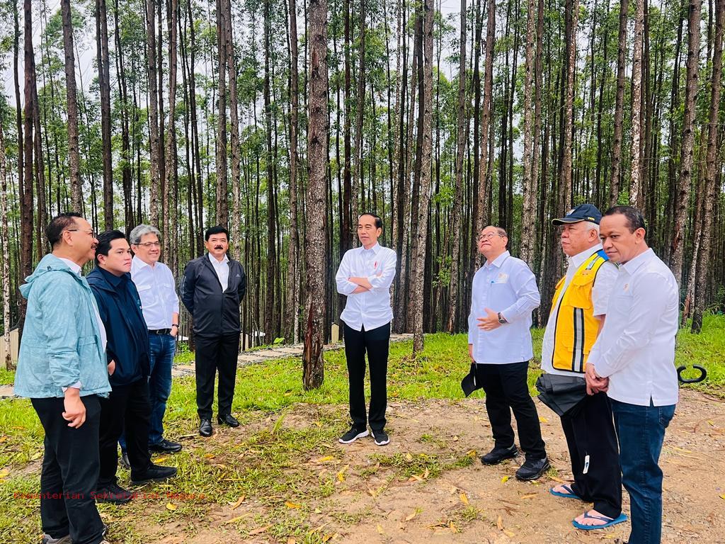 Presiden Jokowi bersama Iriana Nikmati Suasana Alam di IKN