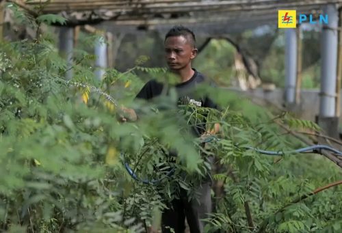 PLN melalui sub holding