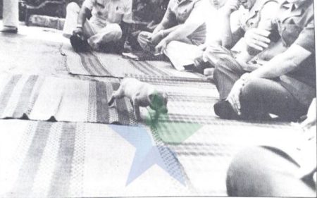 Penyebaran Rabies dan Insiden Unik di Rancaekek pada 1980-an