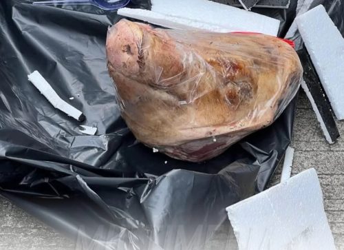 Dua Pengemudi Ojek Online Diperiksa Penyidik Soal Kasus Teror Kepala Babi ke Tempo