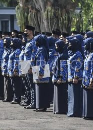 Siap Dilantik! PPPK Paruh Waktu Selayar Segera Resmi Kenakan KORPRI