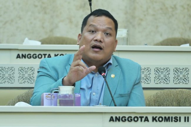 Anggota Komisi II DPR RI, Edi Oloan Pasaribu