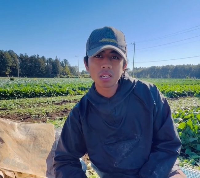 Menakar Sisa Gaji ‘Kuli’ Tani di Negeri Sakura