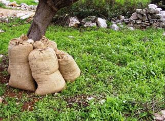 Rampe, Rezeki Nelayan atau Barang Hilang?