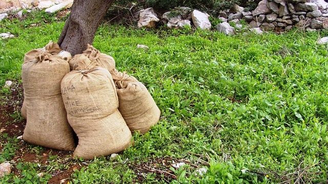 Rampe, Rezeki Nelayan atau Barang Hilang?