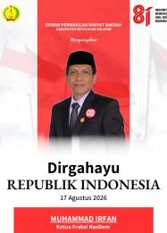 Anggota DPRD Selayar Fraksi NasDem Muhammad Irfan