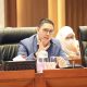 Wakil Ketua Komisi I DPR RI, Dave Laksono