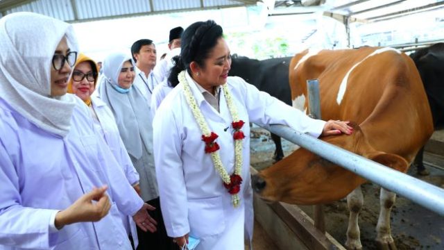 Ketua Komisi IV DPR RI Siti Hediati Hariyadi