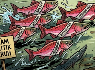 Nasib Para Ikan Salmon di Kolam Politik Keruh